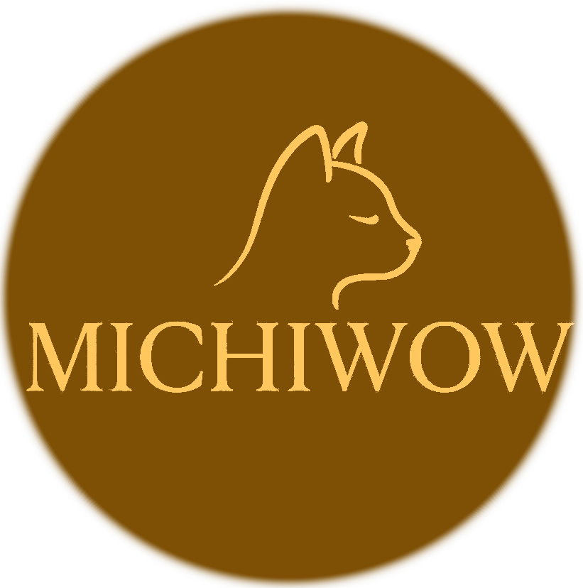 MichiWow
