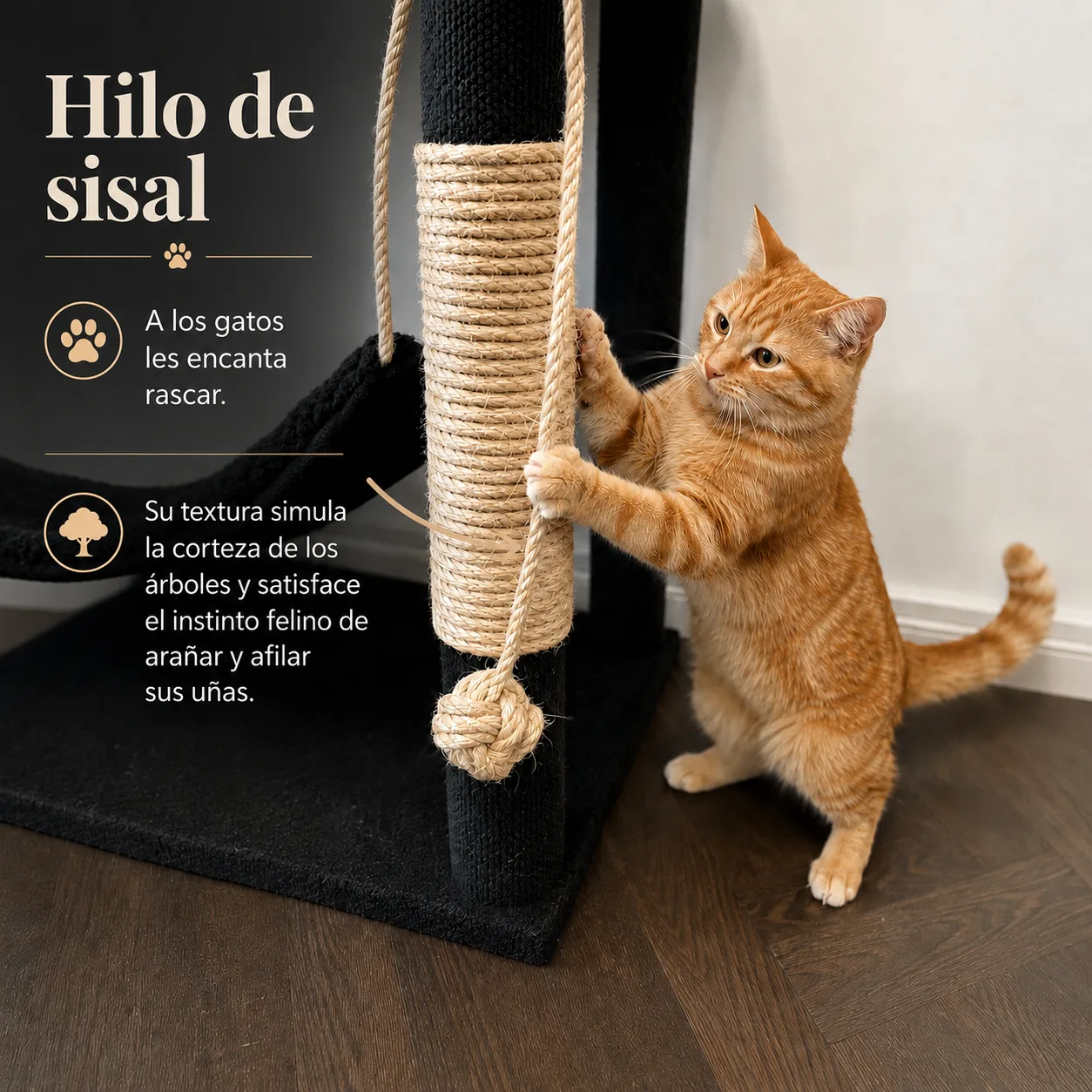 Rascador de gatos premium Ramsés
